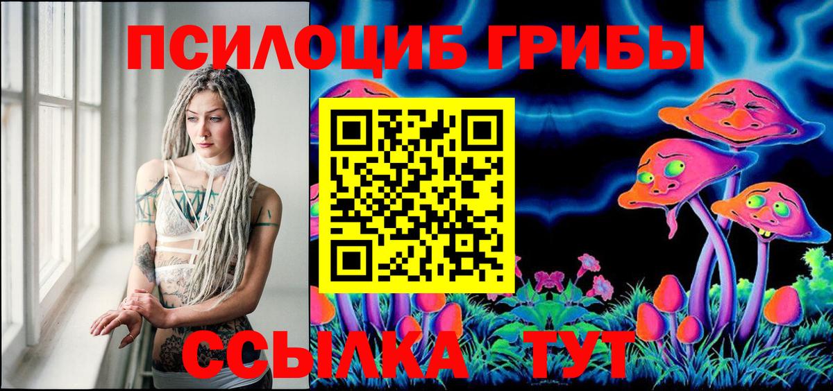 Кимовск  Псилоцибиновые грибы мухоморы  Вход с VPN 